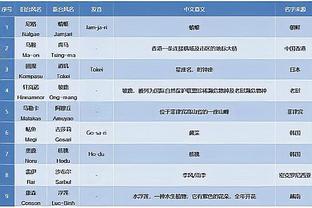 马修斯：东契奇和特雷-杨都打过分区决赛 你能说谁赢更多吗